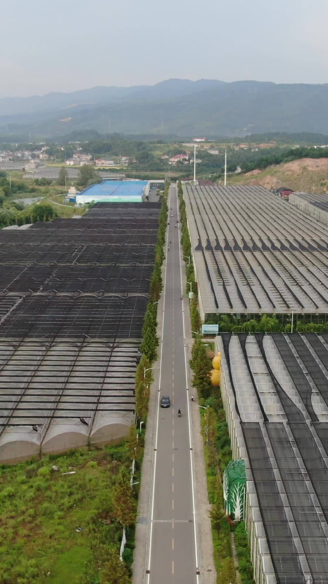 乡村温室走廊