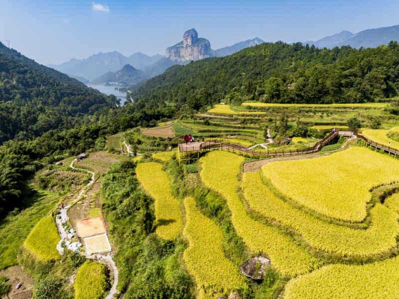 金秋十月 “丰”景如画 8
