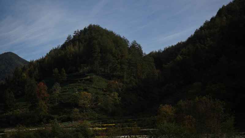 安徽宏村、木坑竹海、塔川秋色、呈坎八卦 21