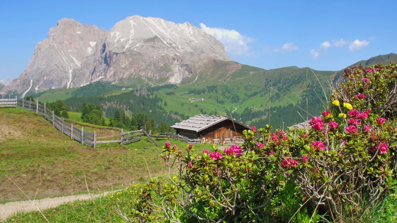 高山小屋山咬