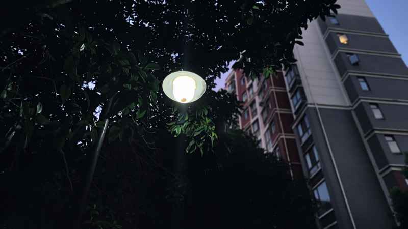 晚归的路灯
