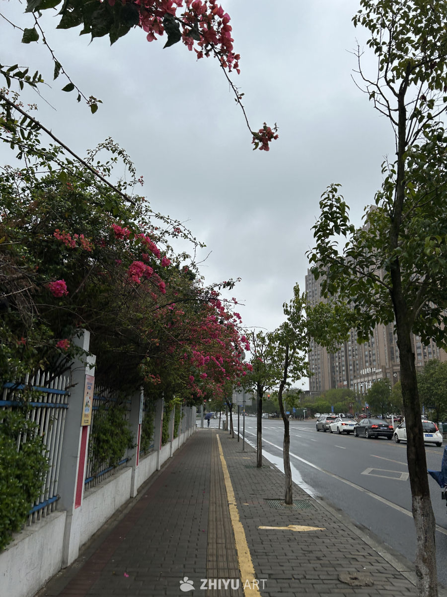 城市的春天漫步