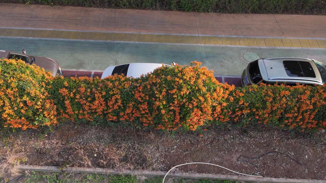 城市街道的静谧时光