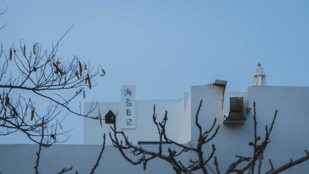 烟台养马岛海岛日记