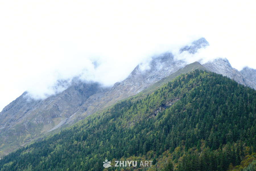 四姑娘山风景