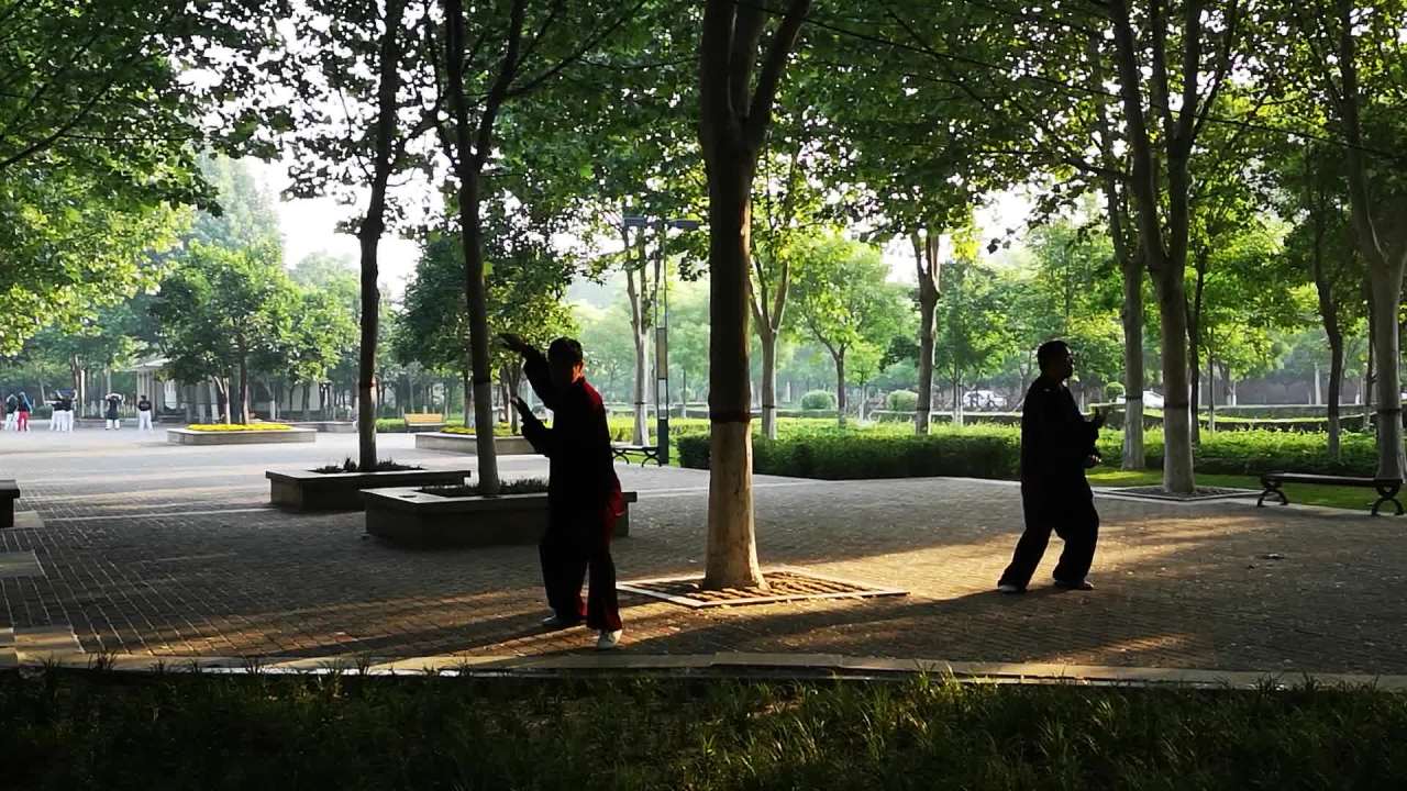晨光中的公园晨练