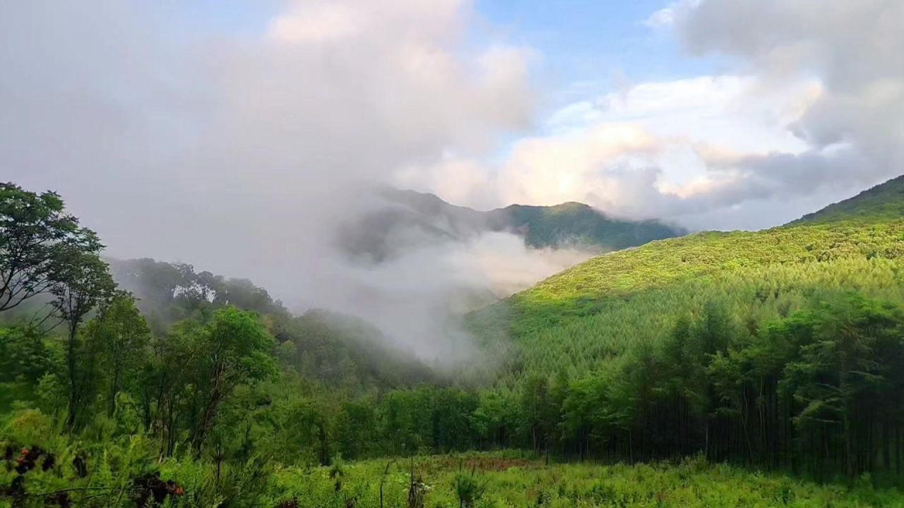 山间流雾 01 延时摄影