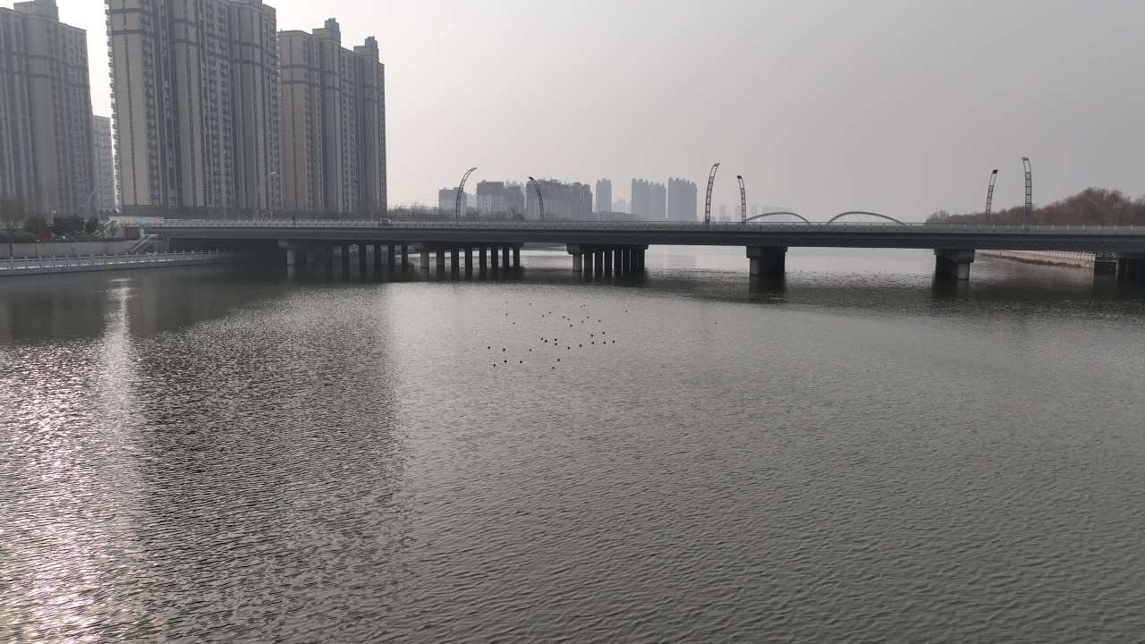 湖畔静谧的都市风景