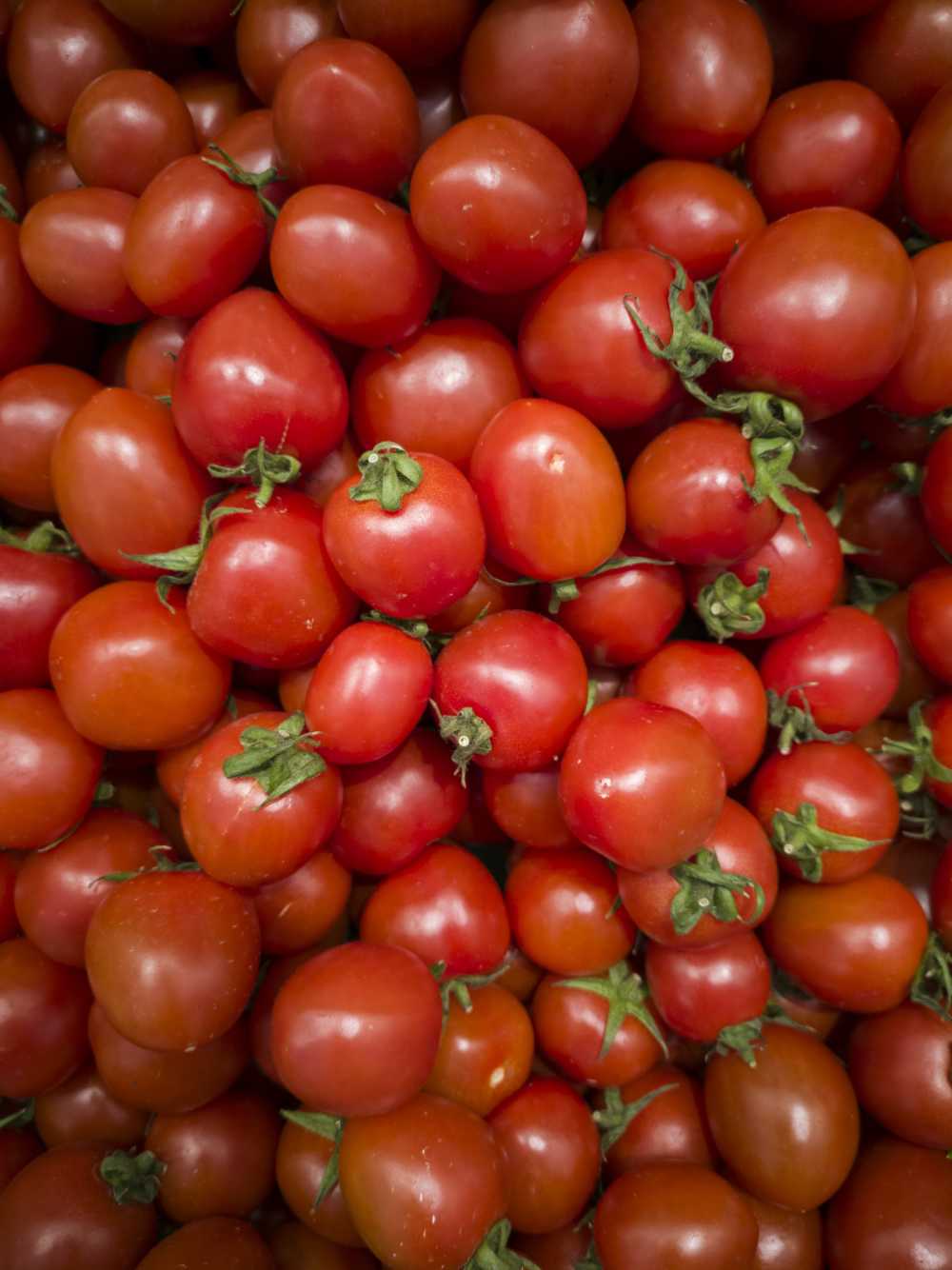 番茄红色水果蔬菜
