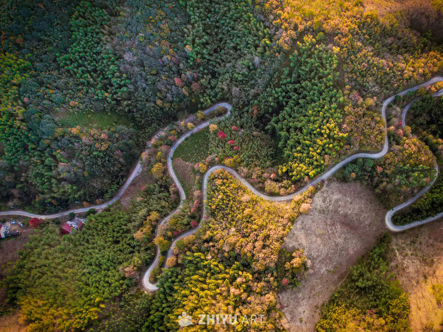 竹乡画廊，最美乡村公路