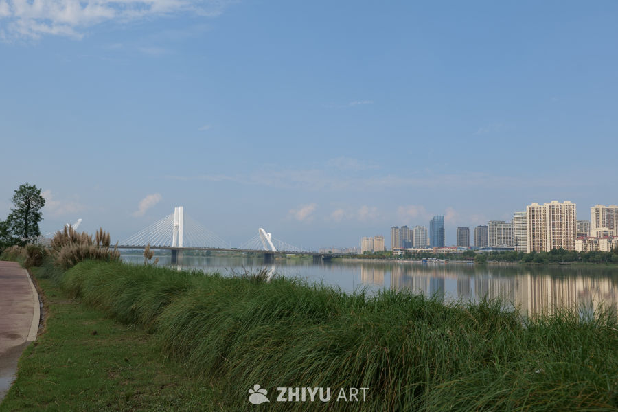 桥水一色 4