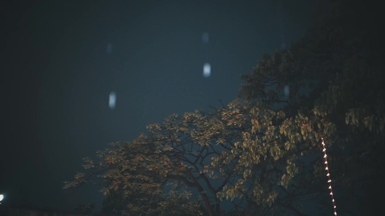 夜雪中的树影