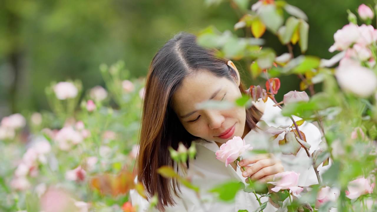 女孩低头闻花