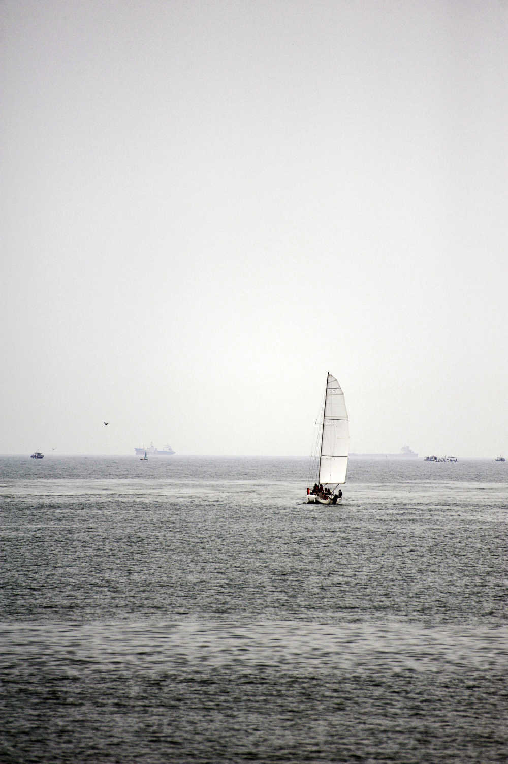 海上帆船
