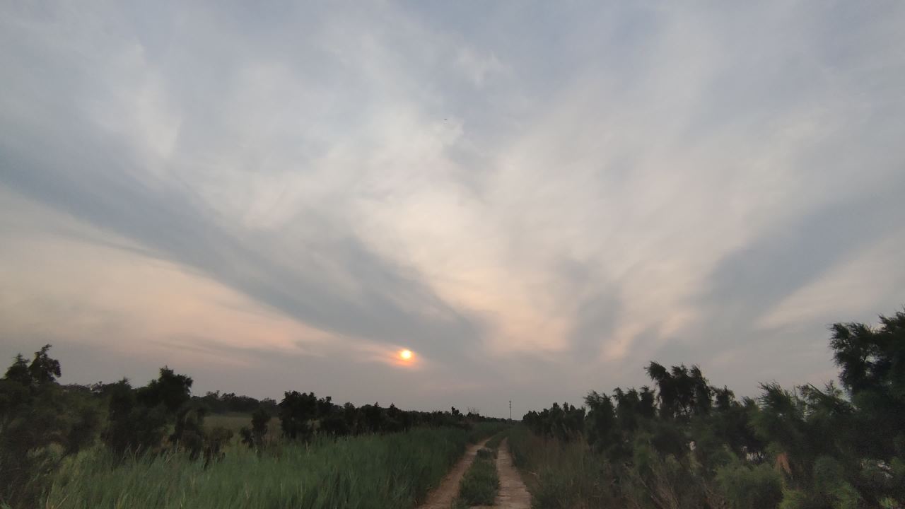 湿地 18
