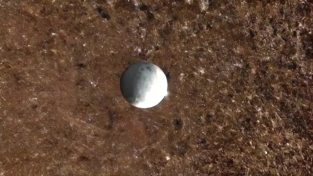 一个浅色的球体位于棕色的、看似不规则的表面之上，该