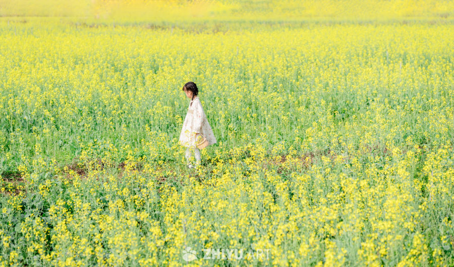小女孩行走在油菜花田上