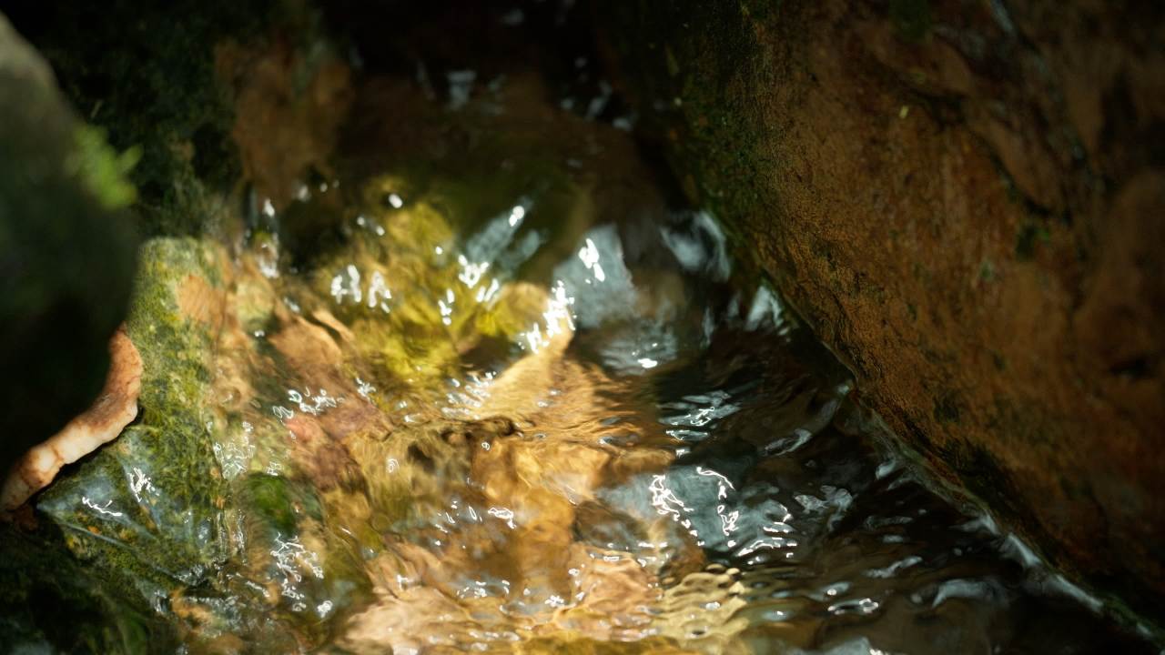 山泉水矿泉水潺潺小溪流水瀑布 14