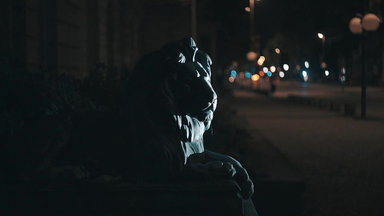 狮子雕像博物馆夜
