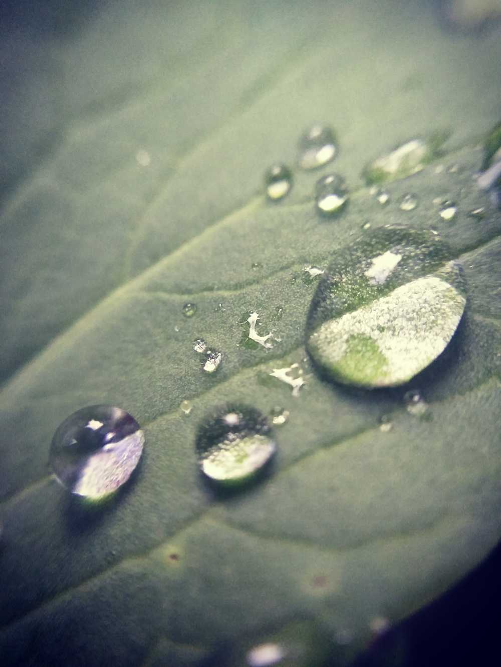 微距世界