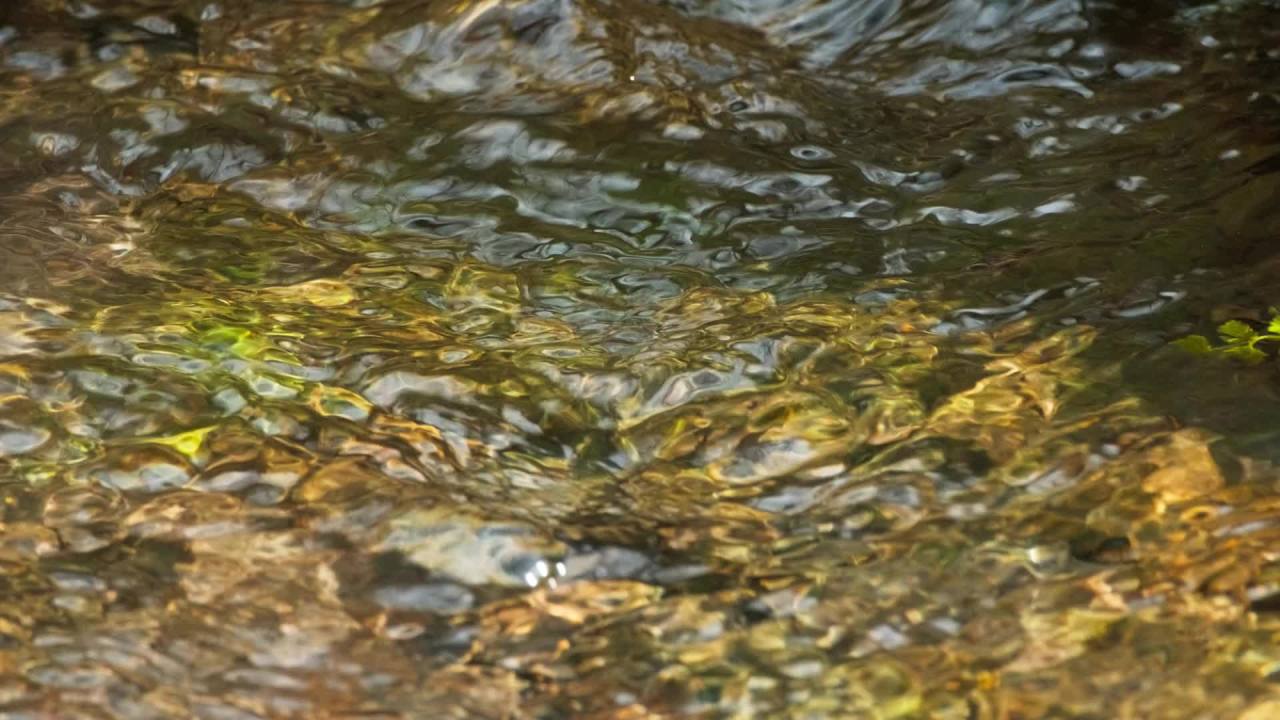 山泉水矿泉水潺潺小溪流水瀑布 12
