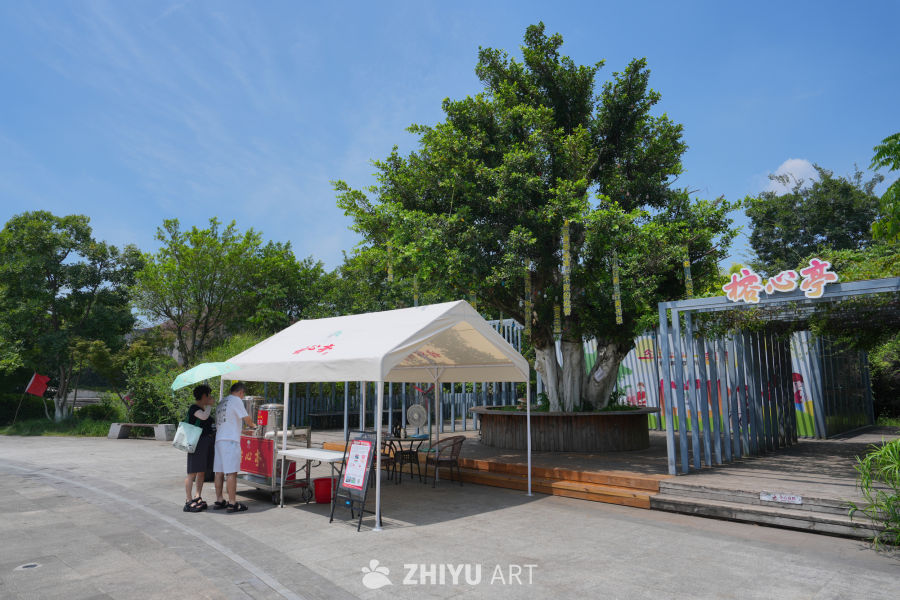 夏日树下休闲市集