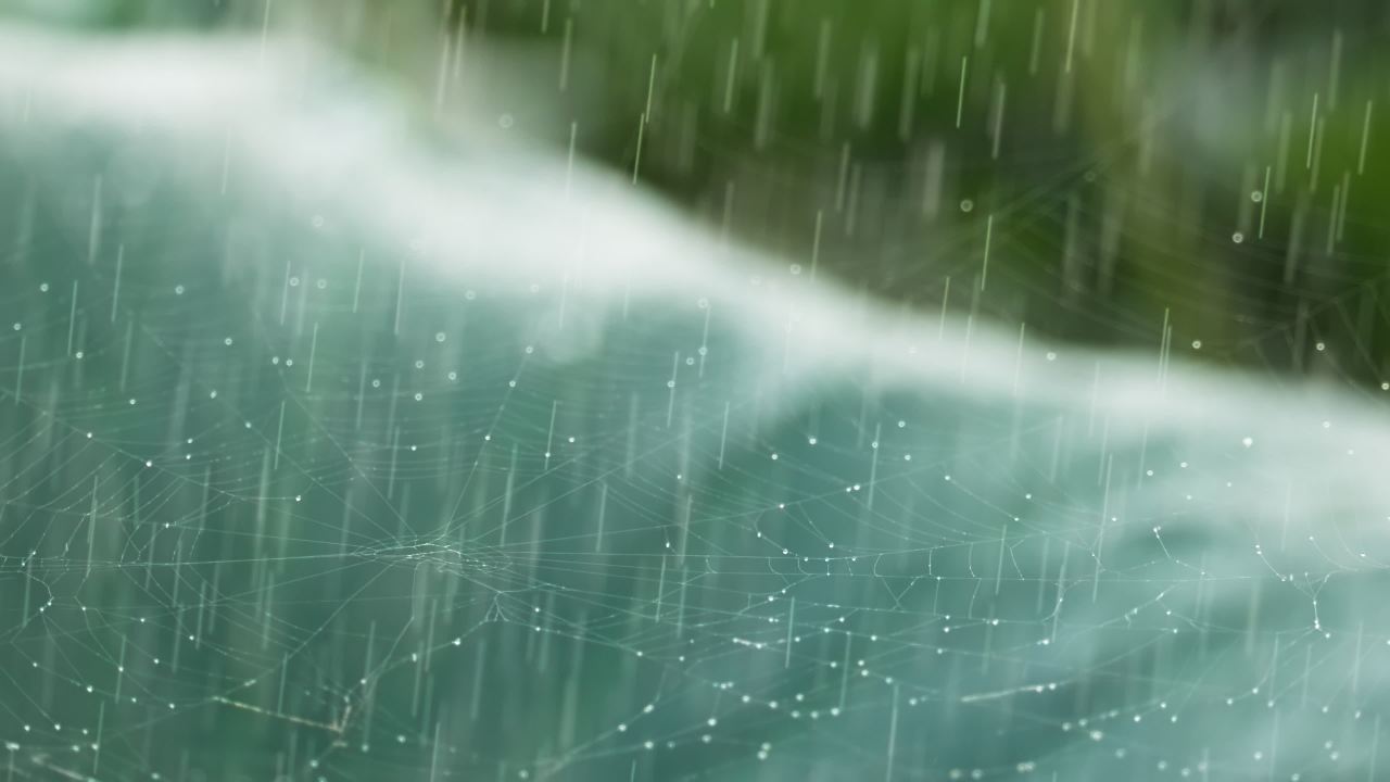 一天下雨水滴 10