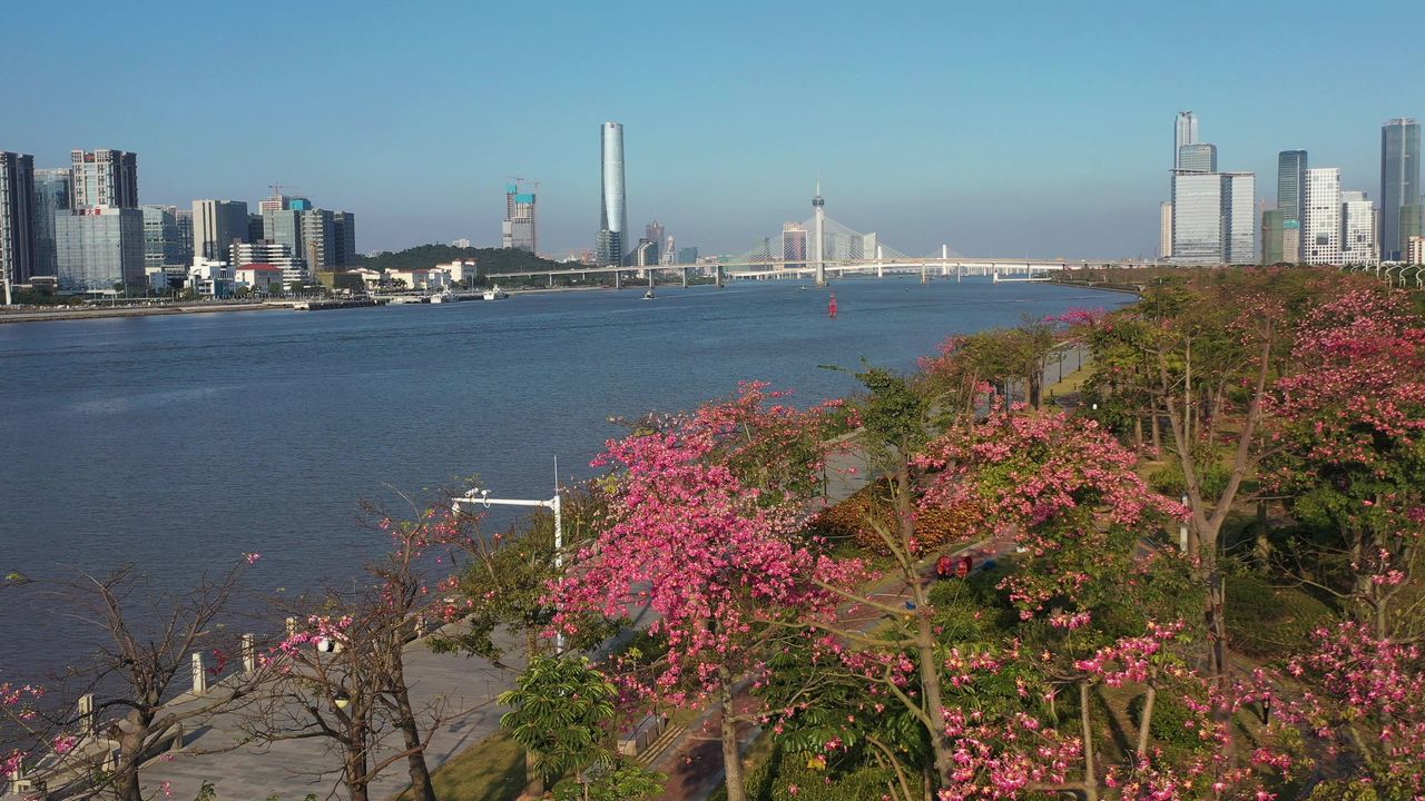横琴花海长廊 13