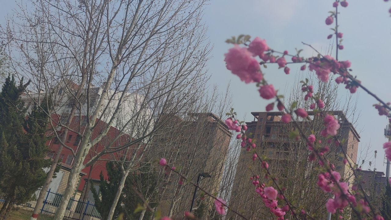 春天来了 17