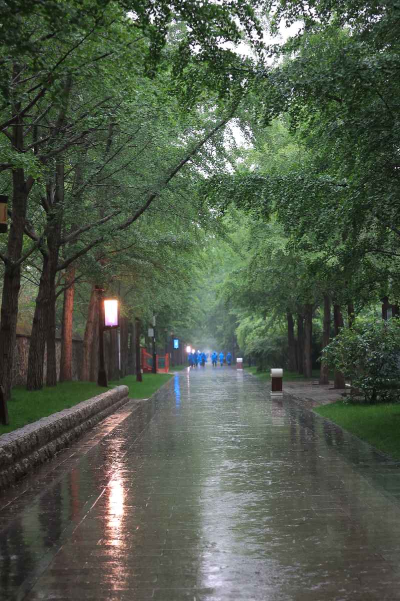 北京扫街拍摄 4