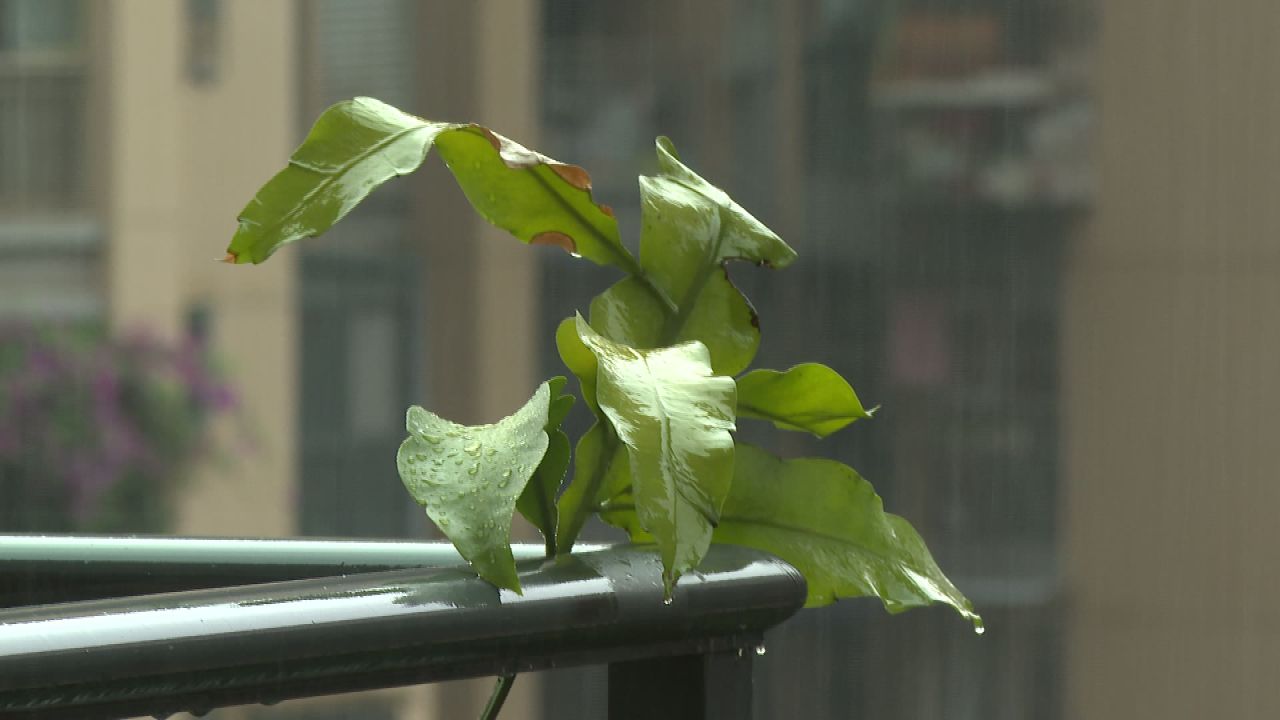 下雨的场景