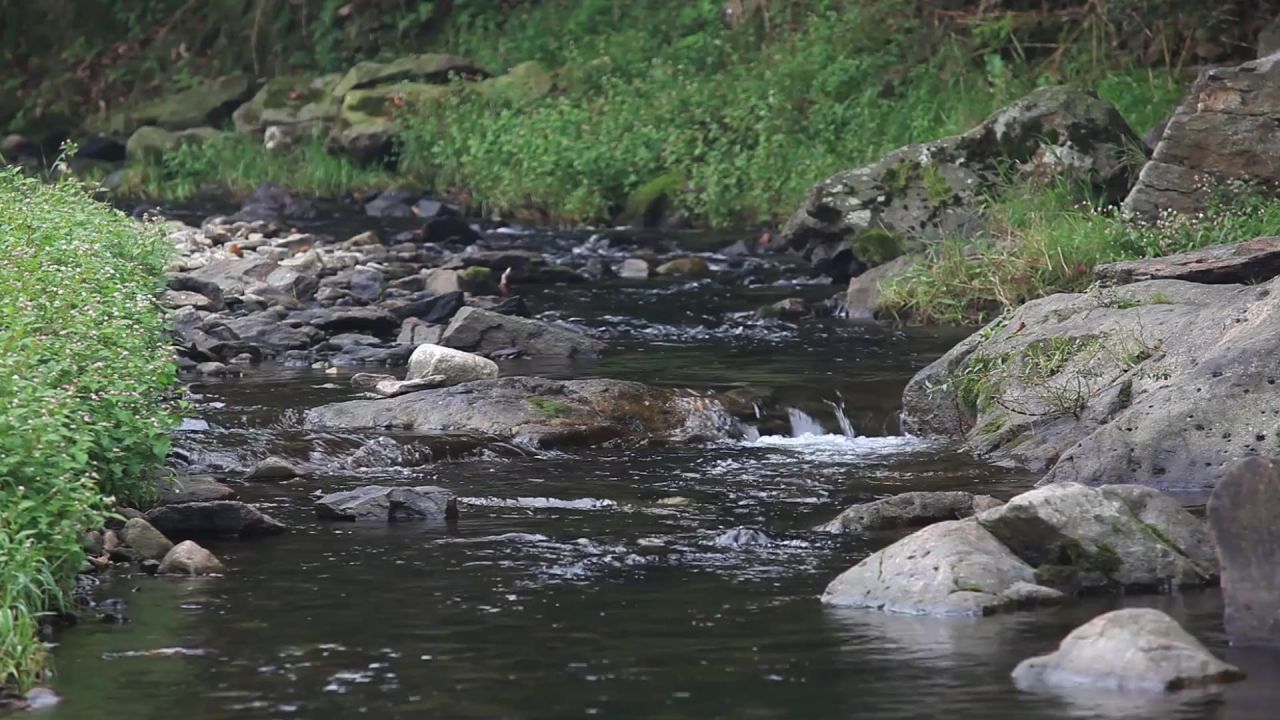 河水自然石流流动