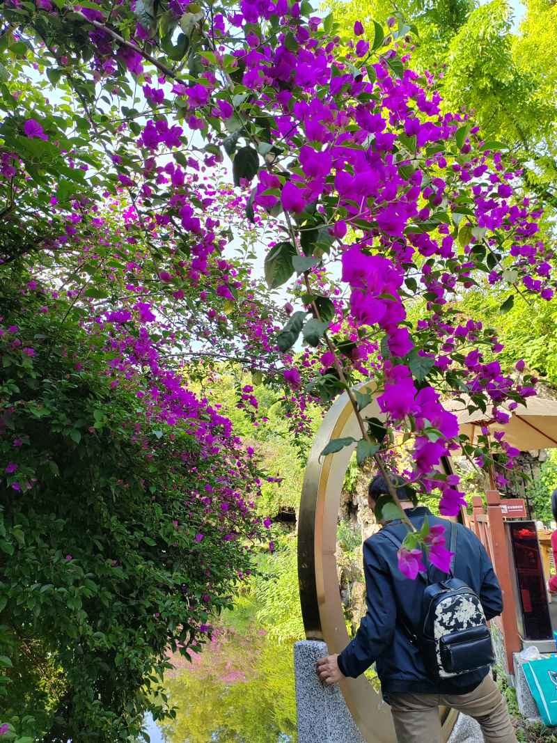 花条