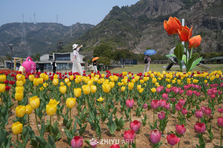 郁金香盛开的山间