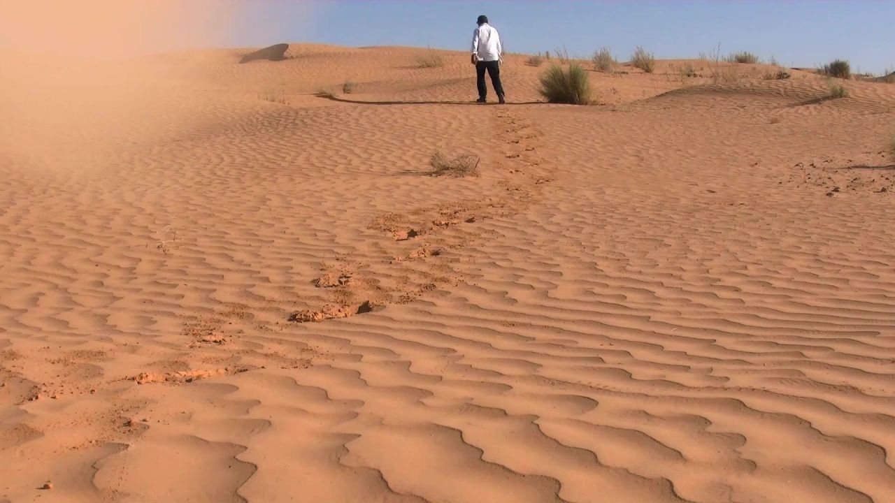 男子撒哈拉沙漠冒险干旱