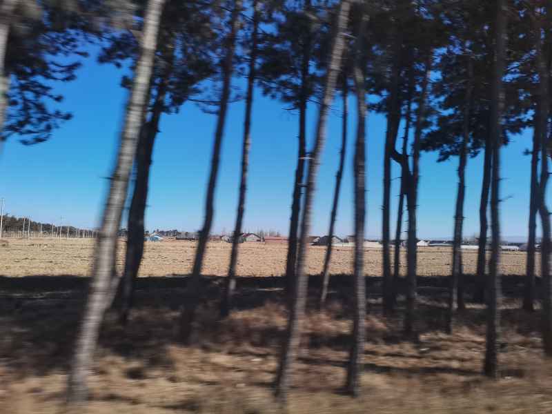 沿途风景