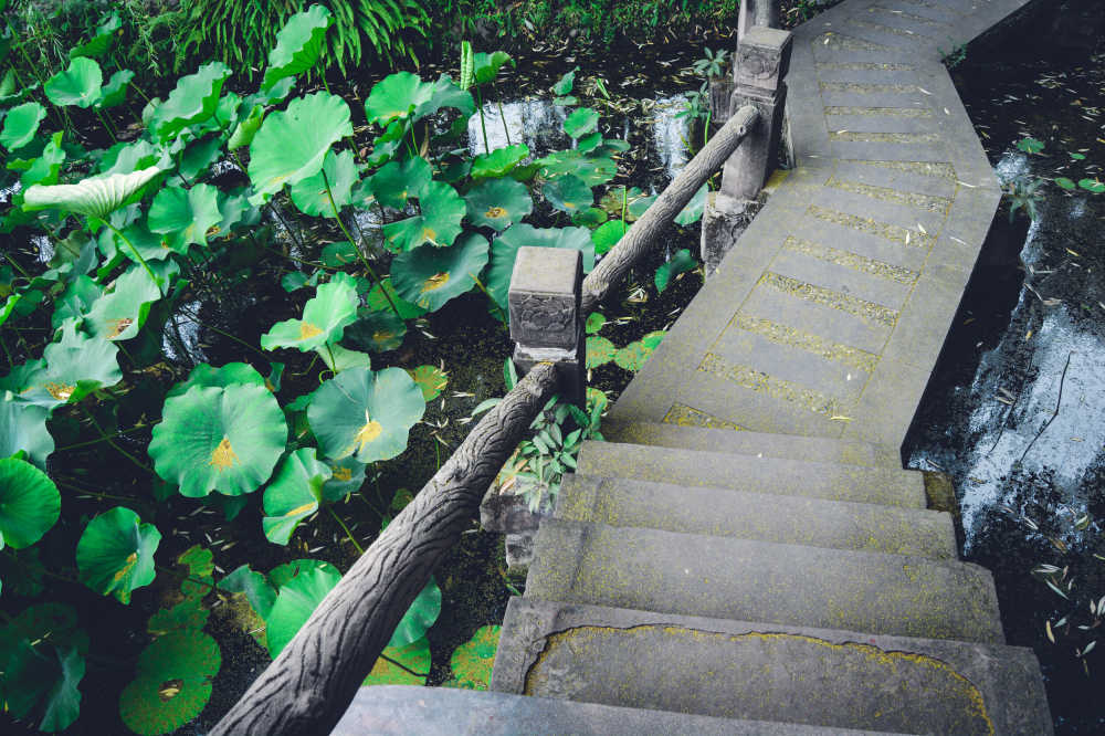 逝去的夏天