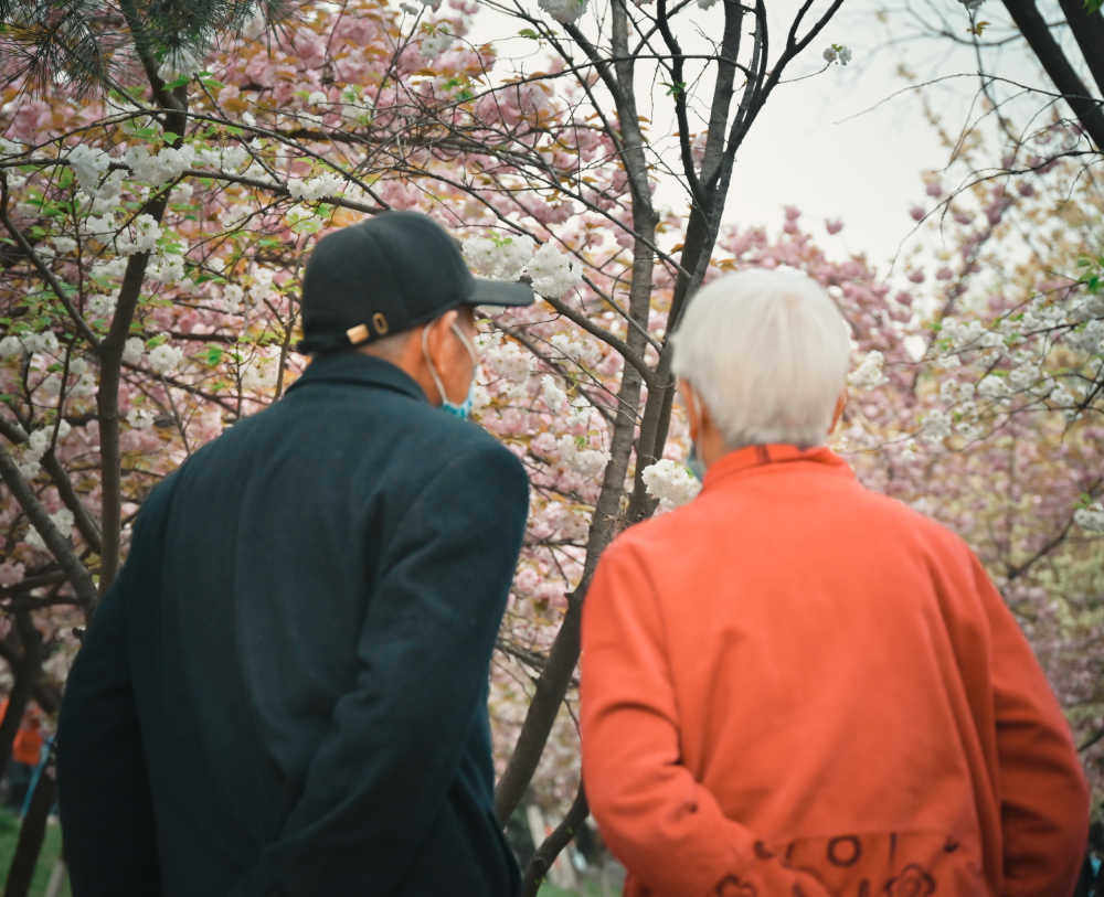 共白头，同赏花