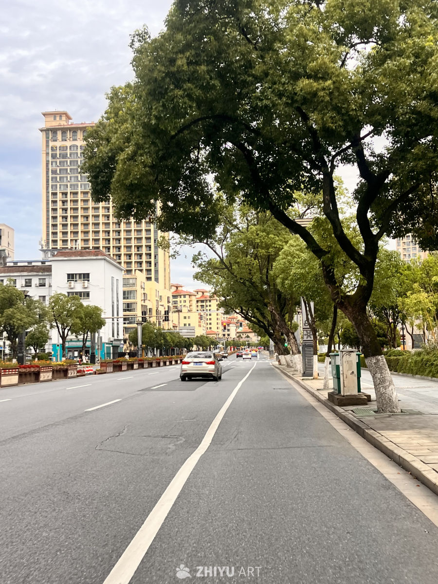城市绿荫下的宁静街景