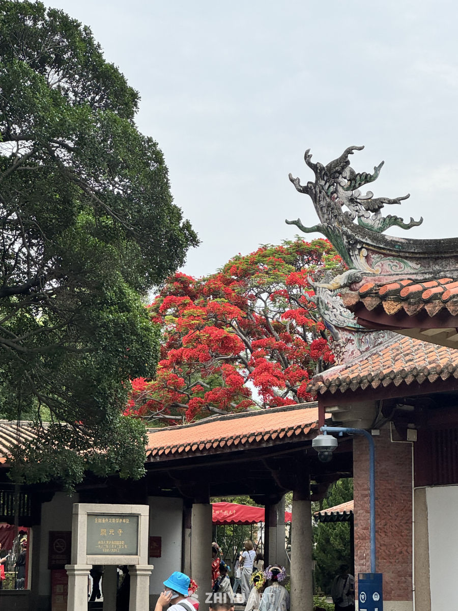 泉州开元寺 5