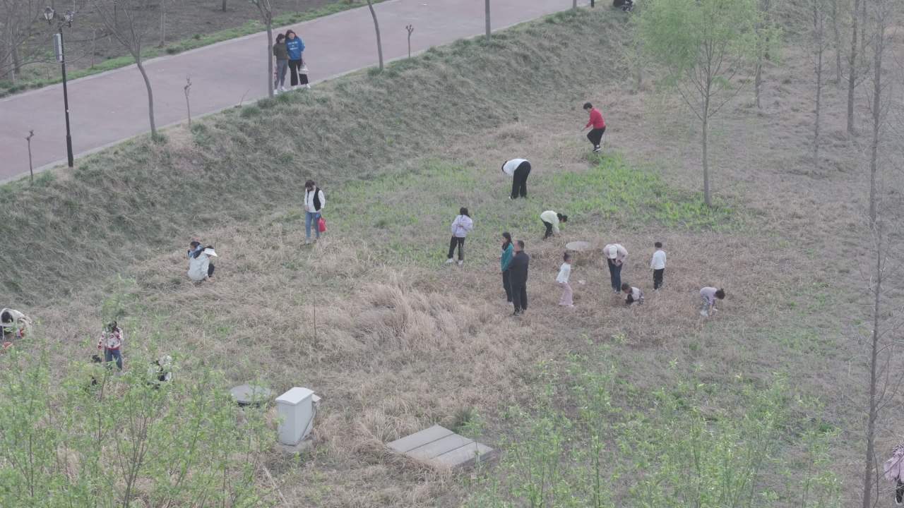 户外集体活动