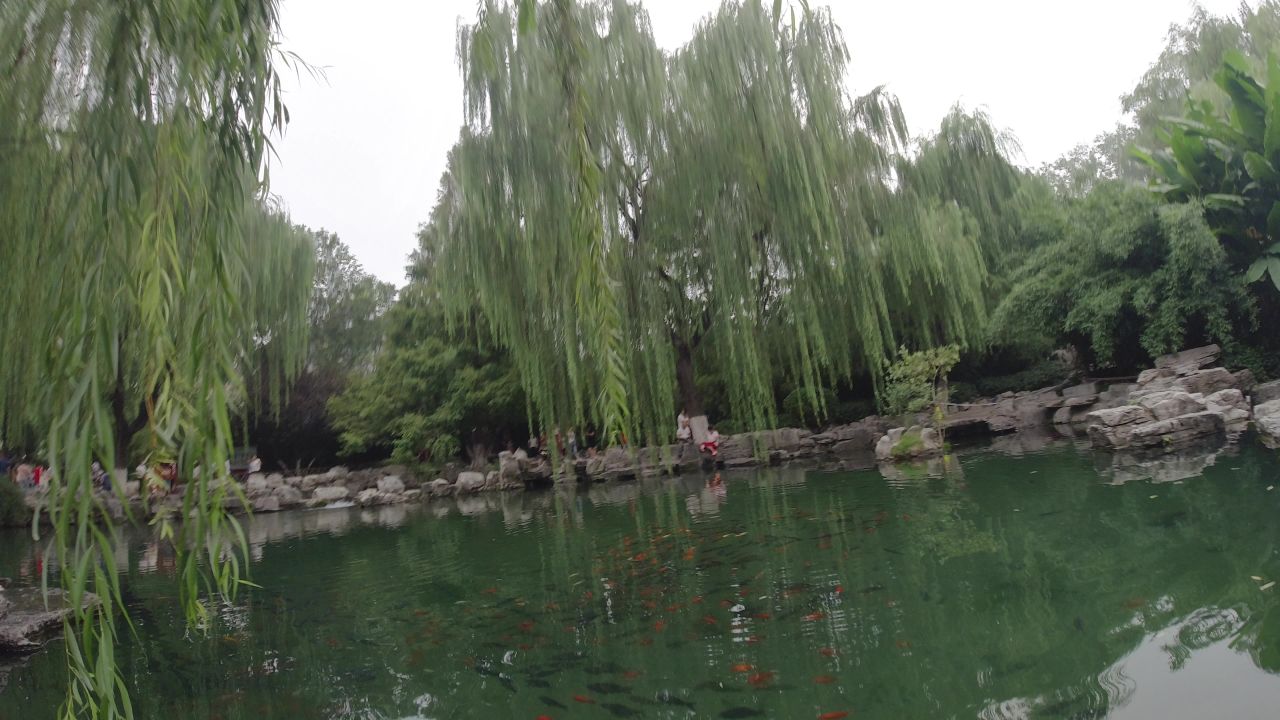 水下拍摄