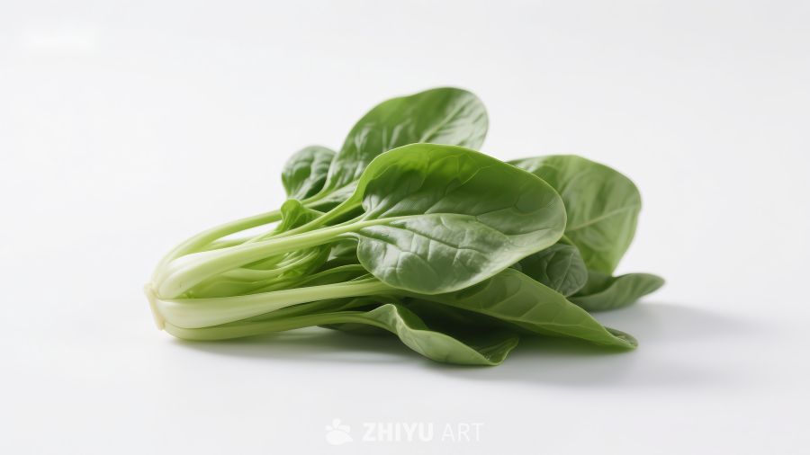 新鲜绿色菠菜特写