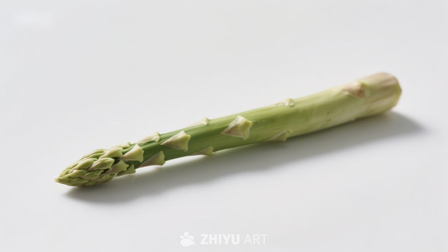 一根新鲜的芦笋
