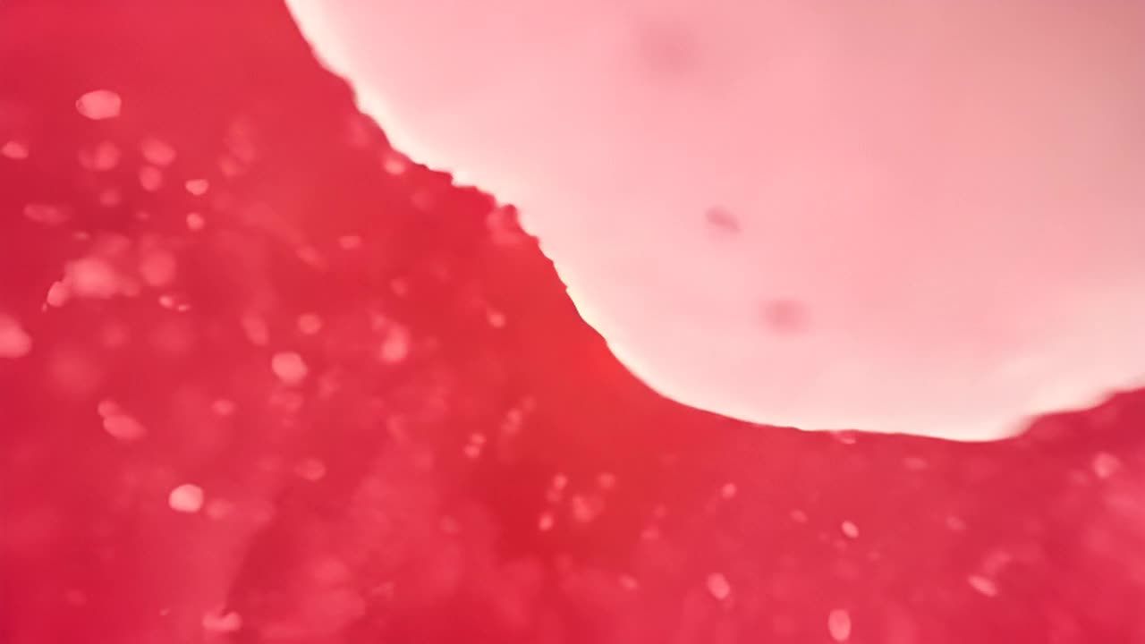 红细胞携带着氧气穿梭在血管中，而白细胞则在体内巡逻