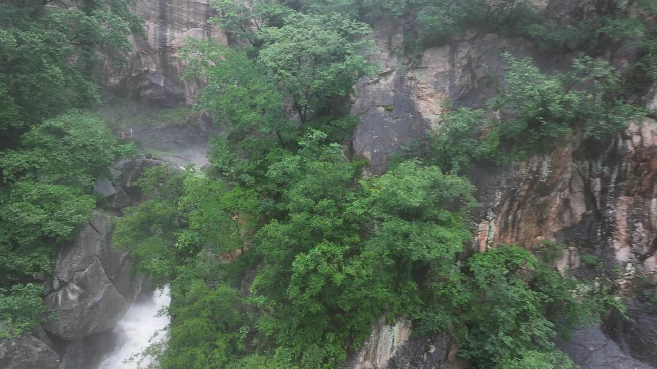 雨中森林秘境