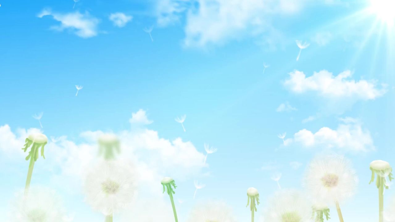 小清新蒲公英梦幻粒子led视频素材 32