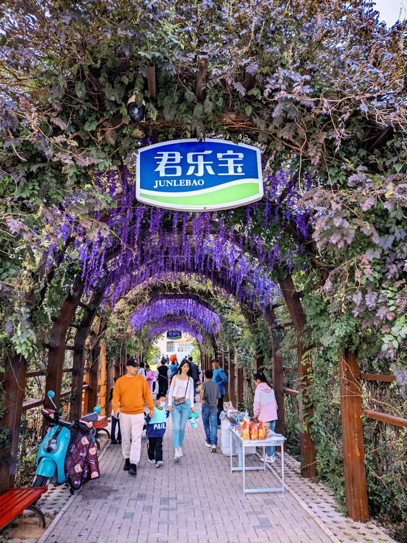 游览石家庄 10
