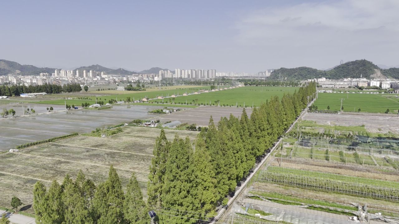 立秋浓忙 15