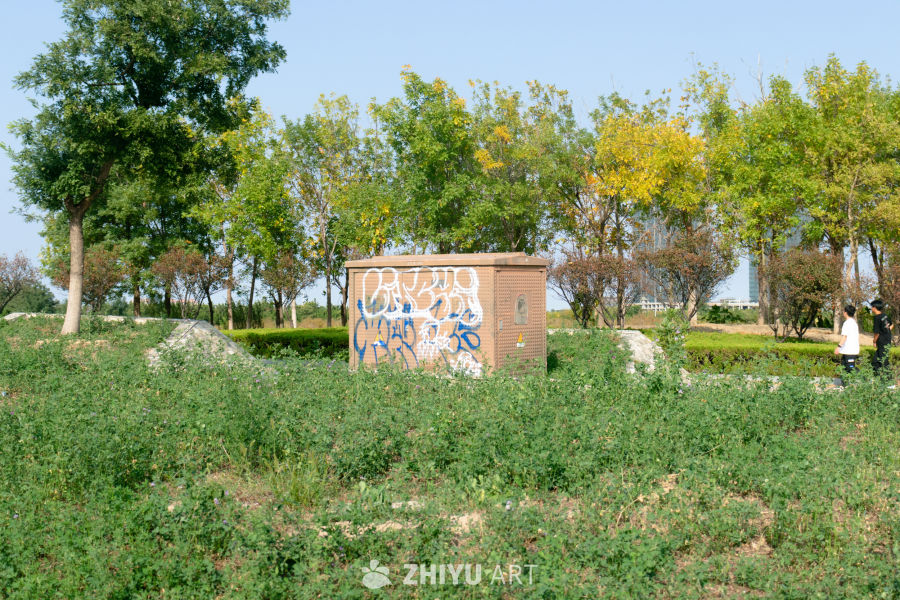 公园里的涂鸦箱